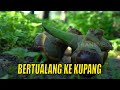 BERTUALANG KE KUPANG | JEJAK ANAK NEGERI (17/12/21)