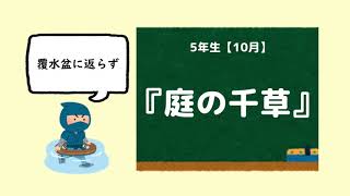 【かきかた書道】5年10月 課題「庭の千草」👩