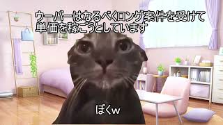 今週は疲れがドーンと出て駄目そうです＞＜【猫ミーム】