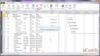 ms project 2010 how to use multiple baseline demo