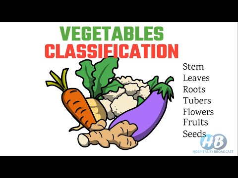 What are the classification of vegetable according to its part?