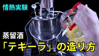 【情熱実験】蒸留酒「テキーラ」の造り方