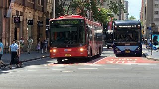 Buses and trams at QVB. Plus an old bus, Hillsbuses, Keolis Downer Bendy and Evo 2,s!