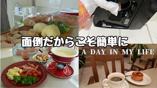 ６０代Vlog【シロッコファン 重曹で楽々掃除】楽しかったチーズフォンデュ｜オパール毛糸ペンギン完成