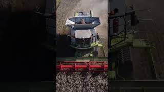 Claas Lexion 670 Żniwa 2022