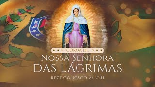 Coroa das Lágrimas - 14º Dia da Consagração  Nossa Senhora - 18/11/2024