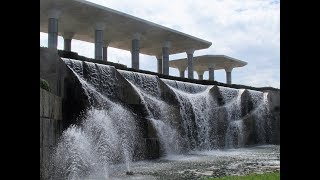 海ノ中道海浜公園　秋の花たち彼岸花と動物と風景！２０１８スライドショー