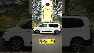 Citroen Berlingo 布丁狗名字的由來！？除了長短軸你還看過哪些布丁狗呢？#Shorts #Citroen #Berlingo #布丁狗 #短軸 #長軸 #全民瘋車Bar #廖怡塵