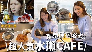 【東京吃到飽 EP4】🇯🇵東京原宿必去！超人氣水獺🦦CAFE❤️ 品嚐新派花茶🌸🍵味甜品？雪糕XX味😳 米芝蓮一星店⭐️江戶前天婦羅推薦！｜Tiffany Lhy 李珝溰