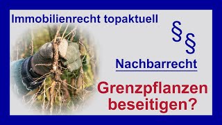 Grenzpflanzen beseitigen - Thuja Hecke an der Grundstücksgrenze | Tutorial