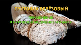 ТРУТОВИК БЕРЁЗОВЫЙ. КАК ИСПОЛЬЗОВАЛИ ГРИБ В НАРОДНОЙ МЕДИЦИНЕ И В БЫТУ