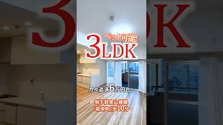 安すぎ？ペット可!3LDKご紹介! #中古マンション #名古屋市 #駅チカ #愛知県 #リノベーション #物件紹介 #物件探し #新栄町 #東山線 #お値打ち #shorts