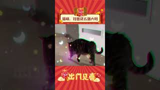 猫猫：对面这么强大吗！！#娱乐评论 #大辟谷 #猫咪 #动物的迷惑行为  #可爱 #动物 #萌宠 #shorts  #出门见喜