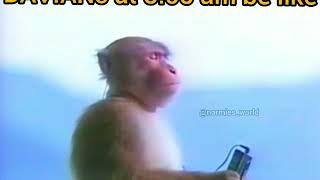 Dav Jai Jai monkey verison. DAV anthem