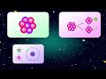 All Fundamental Forces and Particles Explained Simply  Elementary particles