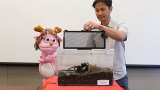 Pinky's Smithsonian Adventure: Tarantula Feeding with the National Museum of Natural History