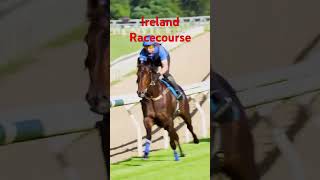 Ireland Race Course horse race track competition vet chainsingh#horseracing #racehorse #horse ##