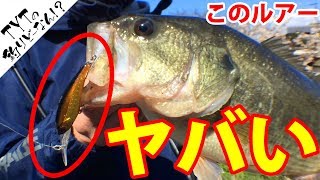 【バス釣り】あのシャッドが釣れすぎる！！〔五三川〕岐阜県養老郡