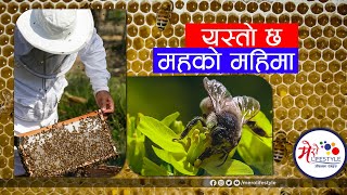 यस्तो छ, महको महिमा | Honey Hunter Nepal