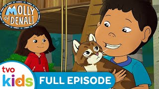 MOLLY OF DENALI 🌟 Mouse In The Treehouse / Leader Of The Pack 🐁🏀 Season 2 Full Episodes TVOkids