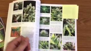 The Cannabis Encyclopedia By Jorge Cervantes Review