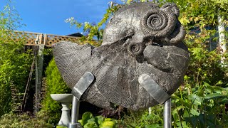 Monster Jurassic Fossil Ammonite From The Deep