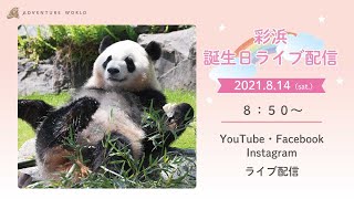 3歳の誕生日を迎える「彩浜」へ大好きな雪や氷をプレゼント！