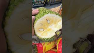 China import Vietnam Jackfruit #fruit #greenhousesg #dodo #jackfruit