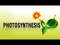 PHOTOSYNTHESIS