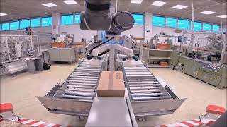 Innovative automation with RC-1 Cobot Palletizer from REITEC