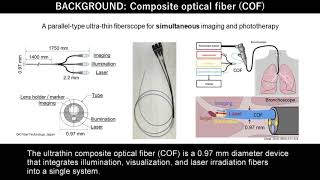 Simultaneous transbronchial tumor visualization and laser irradiation in orthotopic lung cancer