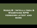NodeJS : Intellij Idea & WebStorm NPM versions latest and more