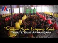 Ternakan Ayam Kampung Kacuk 'Tribute' Buat Arwah Bapa