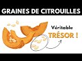 Graines de Citrouille : Les Bienfaits pour la Santé Qui Peuvent Révolutionner Votre Bien-Être !