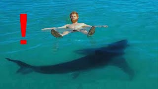 10 Unexpected Shark Encounters