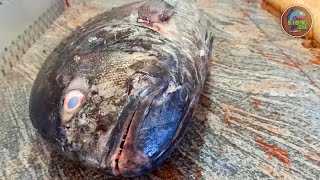 Fresh Giant Trevally Cutting In Fish Market Sri Lanka