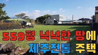 559평의 넓은 대지에 제주도 전통 주택이 있는 MZ들의 핫플레이스 인접 대지와 주택