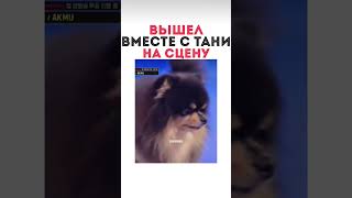 Вышел вместе с тани на сцену | как мило 🥺🫶🏻 #bts #taehyung #yeontan