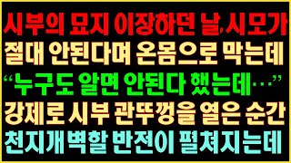 [반전실화사연] 시부의 묘지 이장하던 날, 시모가 절대 안 된다며 온 몸으로 막는데. “누구도 알면 안 된다 했는데” 강제로 시부 관뚜껑을 열은 순간, 천지개벽할 반전이 펼쳐지는데