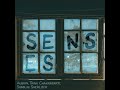 Senses - @AubrynMusic , Trina Chakrabarti, and @ShaolinSherlock (Official)