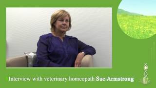 Sue Armstrong Interview, part 1, homeopathy in general