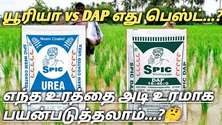 urea vs dap fertilizer tamil | யூரியா vs DAP எது பெஸ்ட் | urea fertilizer tamil| dap fertilizer #lkg