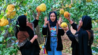 Orange Farm in Riyadh (Hariq)🍊 ഓറഞ്ച് ഫാമില്‍ പോകുമ്പോൾ ഈ കാര്യം ശ്രദ്ധിക്കൂട്ടോ | Saudi Farm visit