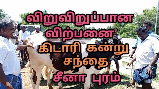 சீனா புரம் கலப்பின மாட்டு சந்தை ஈரோடு மாவட்டம்