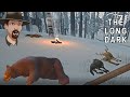 HUGE Timberwolf Mountain Hunt!- The Long Dark Interloper 2020 Gameplay ep.117