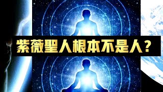 紫薇圣人根本不是人？紫圣上级BOSS的最高指令是什么？