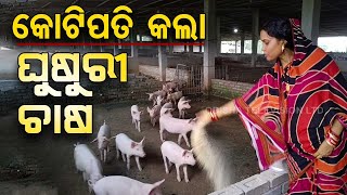 Special Story: Odisha Woman Turns Millionaire Through White Pig Farming Initiative