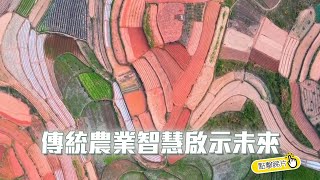 農業文化遺產： 傳統農業智慧啟示未來| The China Current 粵語