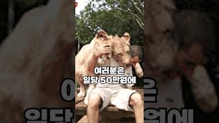 일당 50만원..가능하신 분..?