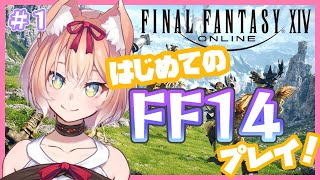 【FF14】はじめてのFF14！遊ぶ！#1【陽月るるふ/Vtuber】